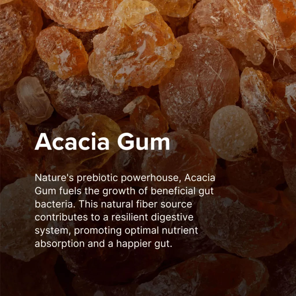 Acacia Gum Mobile